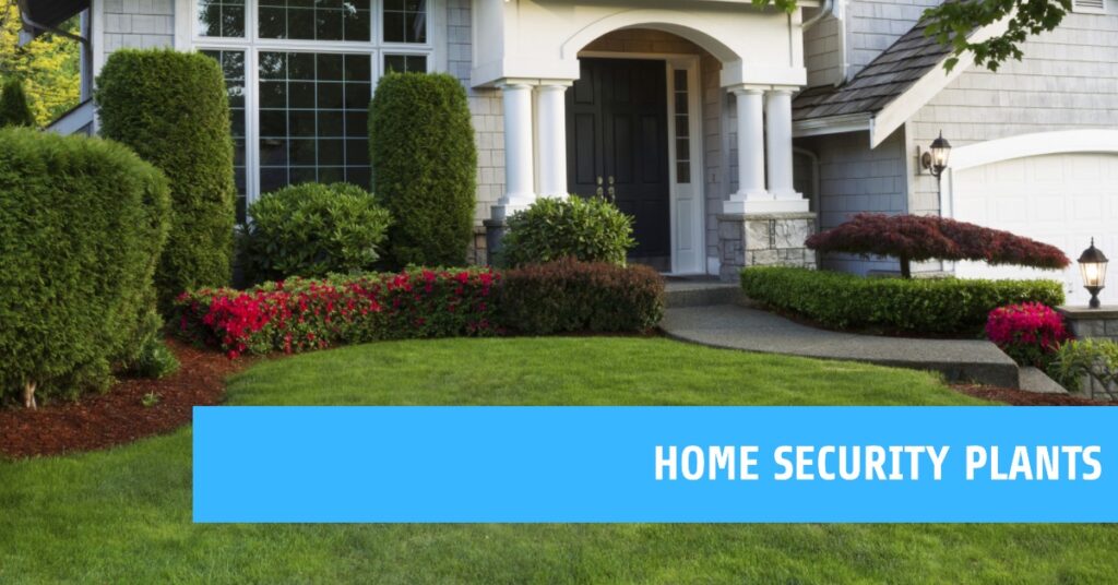 Boosting Property Security with Landscaping The Power of Security